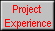Project 
 Experience