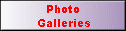 Photo 
 Galleries