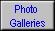 Photo 
 Galleries