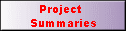 Project  
 Summaries