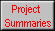 Project  
 Summaries