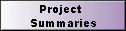 Project  
 Summaries