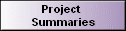 Project  
 Summaries