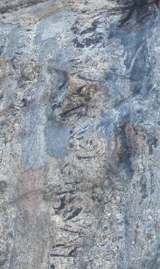 Fasibitikite: alkaline granite from Ampasindava Peninsula, Madagascar with high grade rare earth-niobium-tantalum-zirconium mineralization